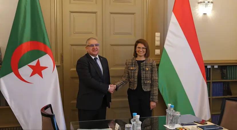 Mr Lounas Megarman co-chairs with his Hungarian counterpart the third session of the Algerian-Hungarian political consultations.